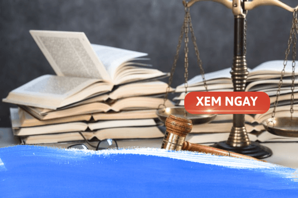 Giới thiệu về ngành Luật: Hiểu đúng để chọn đúng