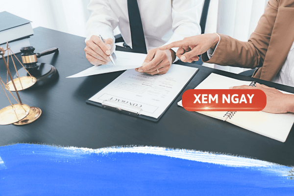 Có nên học Luật văn bằng 2? Học ở đâu uy tín, chất lượng?