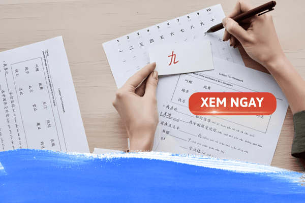 Có nên học văn bằng 2 Ngôn ngữ Trung? Học ở đâu chất lượng?