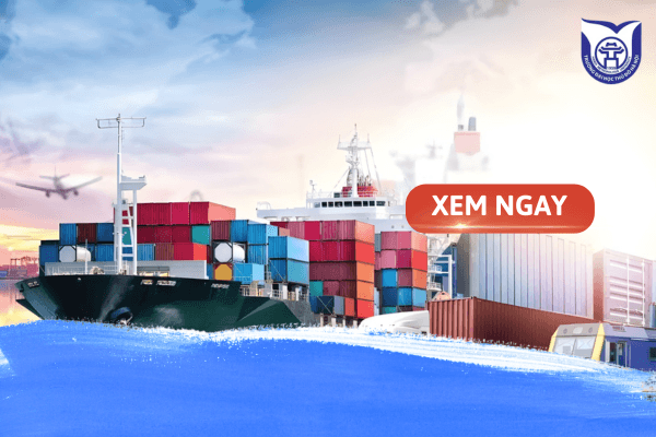 Ngành Logistic và Quản lý chuỗi cung ứng là gì?