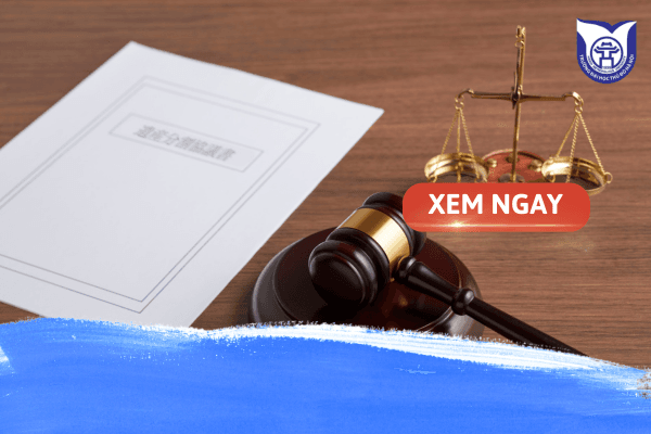 Top 5+ các trường đào tạo ngành Luật uy tín tại Việt Nam